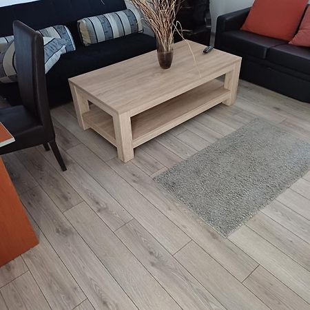 Apartament Cu Terasa La Casa Tina 티미쇼아라 외부 사진