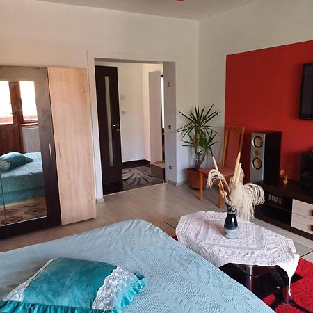 Apartament Cu Terasa La Casa Tina 티미쇼아라 외부 사진
