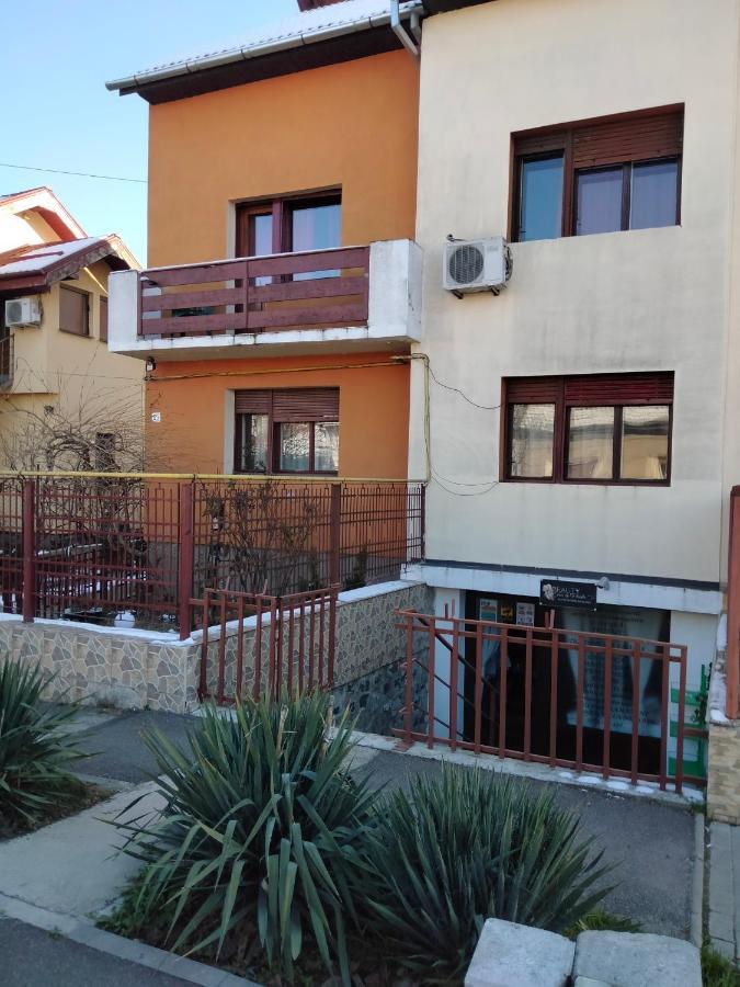 Apartament Cu Terasa La Casa Tina 티미쇼아라 외부 사진