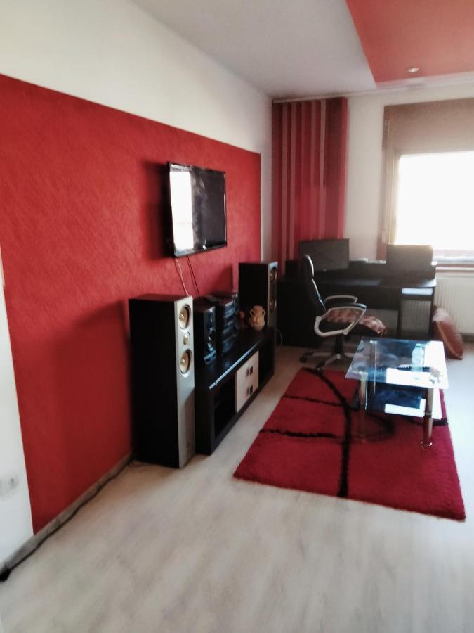 Apartament Cu Terasa La Casa Tina 티미쇼아라 외부 사진