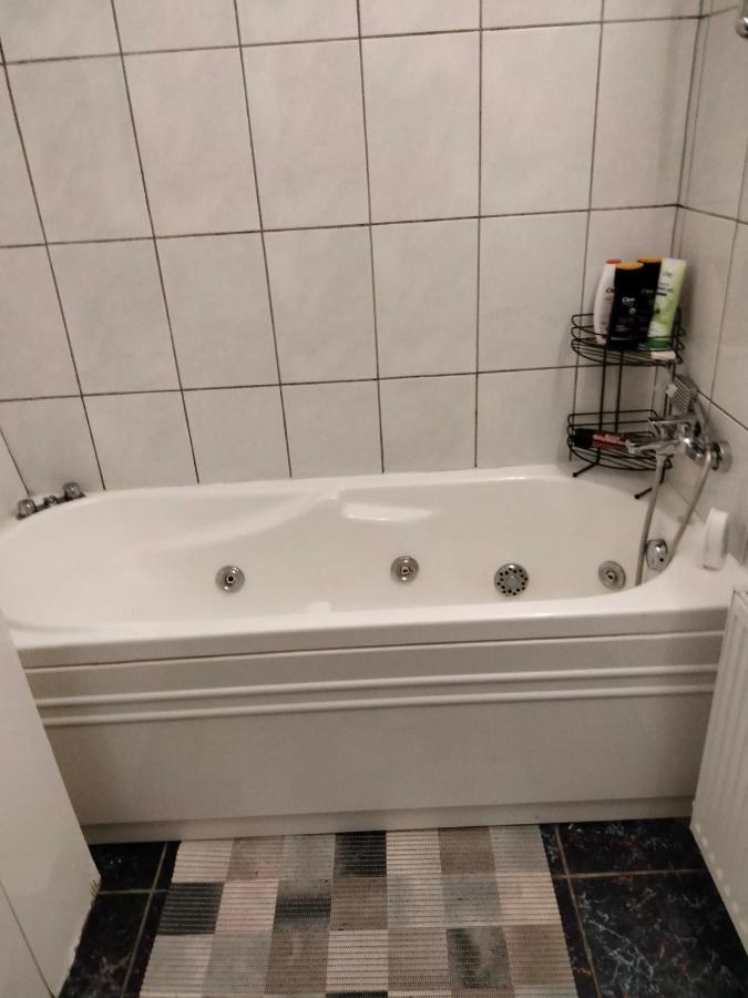 Apartament Cu Terasa La Casa Tina 티미쇼아라 외부 사진