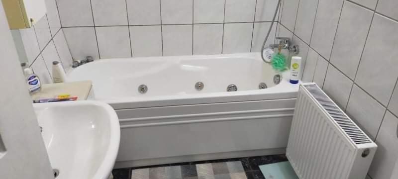 Apartament Cu Terasa La Casa Tina 티미쇼아라 외부 사진