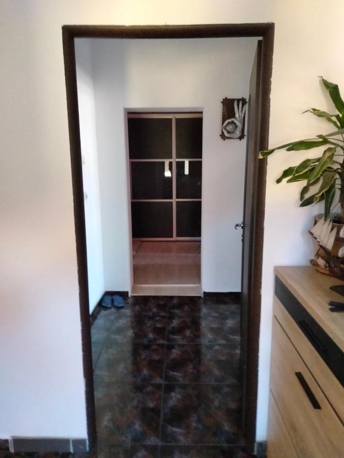 Apartament Cu Terasa La Casa Tina 티미쇼아라 외부 사진