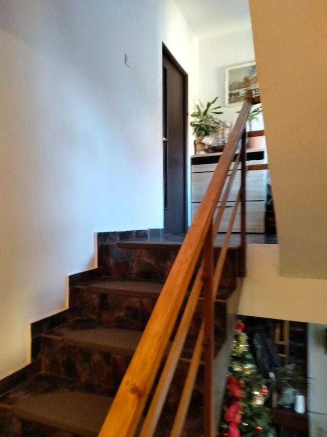 Apartament Cu Terasa La Casa Tina 티미쇼아라 외부 사진