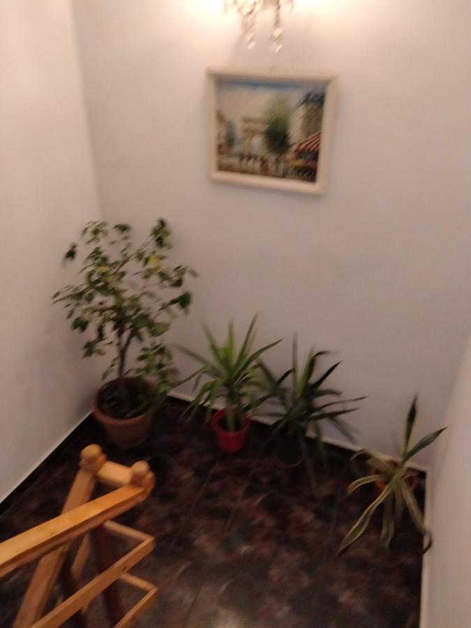 Apartament Cu Terasa La Casa Tina 티미쇼아라 외부 사진