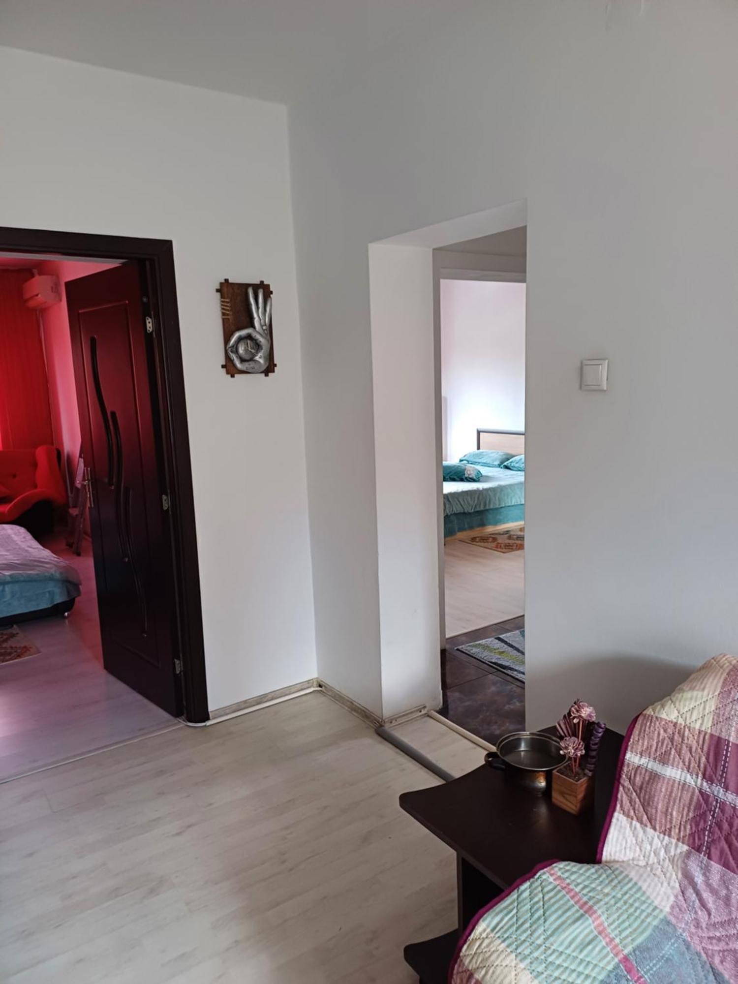 Apartament Cu Terasa La Casa Tina 티미쇼아라 외부 사진