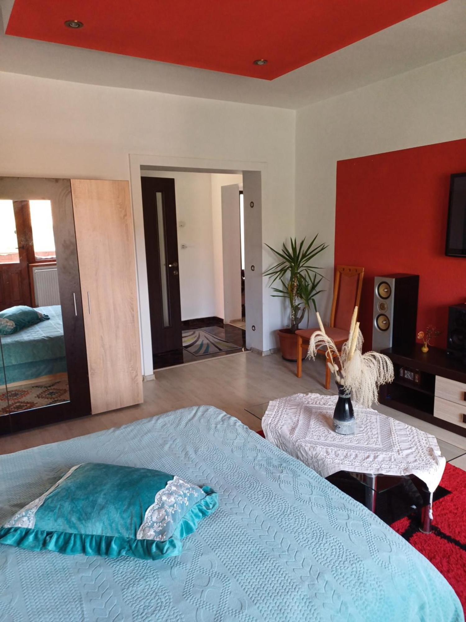Apartament Cu Terasa La Casa Tina 티미쇼아라 외부 사진